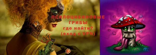 ешки Горнозаводск